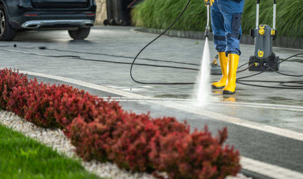 Best Sidewalk and Walkway Cleaning  in Northeast Ithaca, NY
